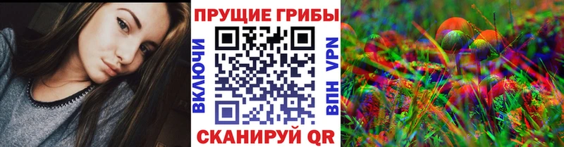 Псилоцибиновые грибы Psilocybe  Купить где  Волхов 